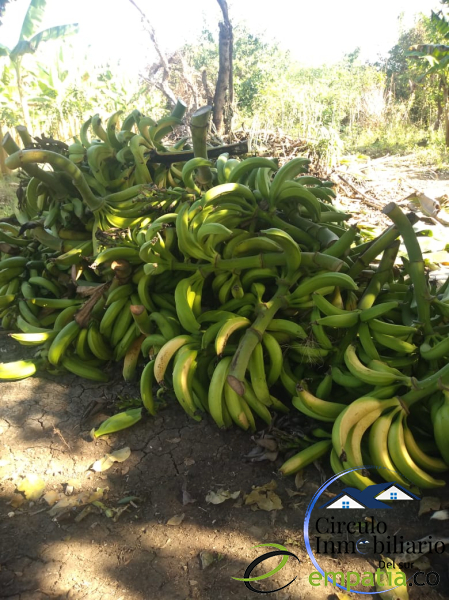 Apto-Loft disponible para Venta en Envigado Barrio Mesa Foto numero 1